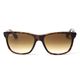 oculos-solar-ray-ban-rb4181-710-51