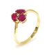 anel-de-rubi-e-brilhante-au18k-1431622503-20701-20710