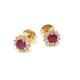 brinco-chuveiro-de-rubi-e-brilhante-au18k-0234902503