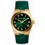 relogio-michael-kors-analogo-mk2356-2vn-verde