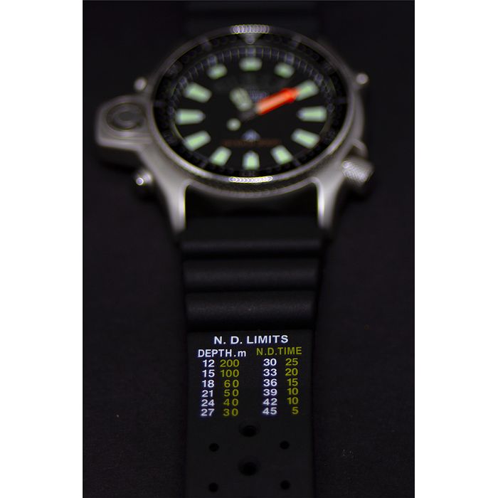 citizen tz10137t