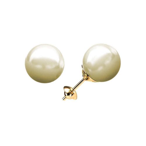 1-tarraxa-vazada 1-tarraxa-vazada